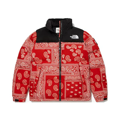 TNF Casestudy Retro Nuptse Paisley Puffer Jacket Red Winter NJ1DM65K