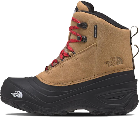 The North Face Chilkat 5 ''Mandelbutter'' NF0A7W5Y-KOM Buy The North Face Chilkat 5 ''Mandelbutter'' NF0A7W5Y-KOM