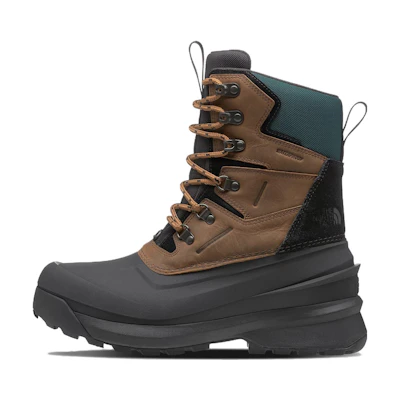 The North Face Chilkat V 400 'Brown'
