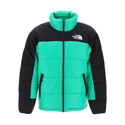 TNF Colorblock Logo Zip-Up Jacket Green - NF0A4QYZ-PO8