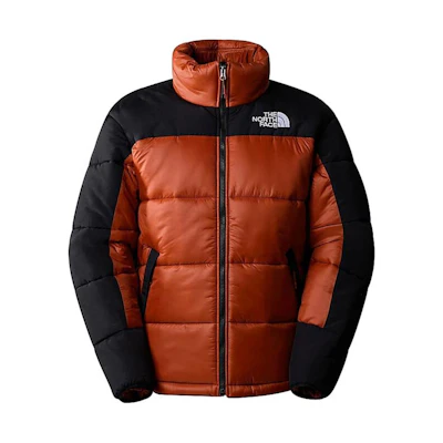 TNF Colorblock Print Down Jacket with Stand Collar NF0A4QYZ-WEW
