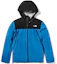 Buy The North Face Jaket Windbreaker Waterproof Colorblock NF0A46LA-ME9
