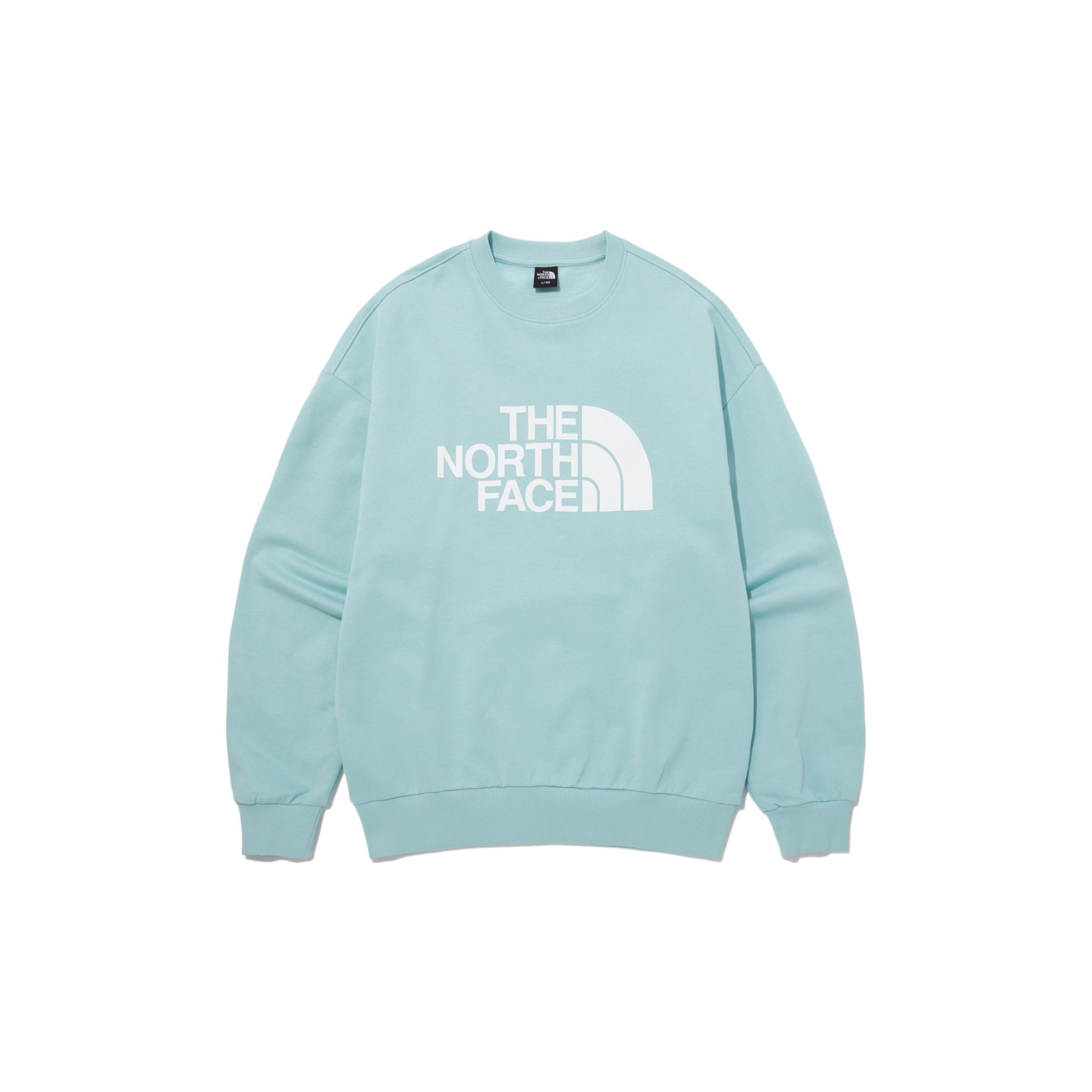 TNF Cotton Logo Relaxed Sweatshirt Mint Green Pullover NM5MP41C