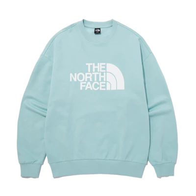 TNF Cotton Logo Relaxed Sweatshirt Mint Green Pullover NM5MP41C