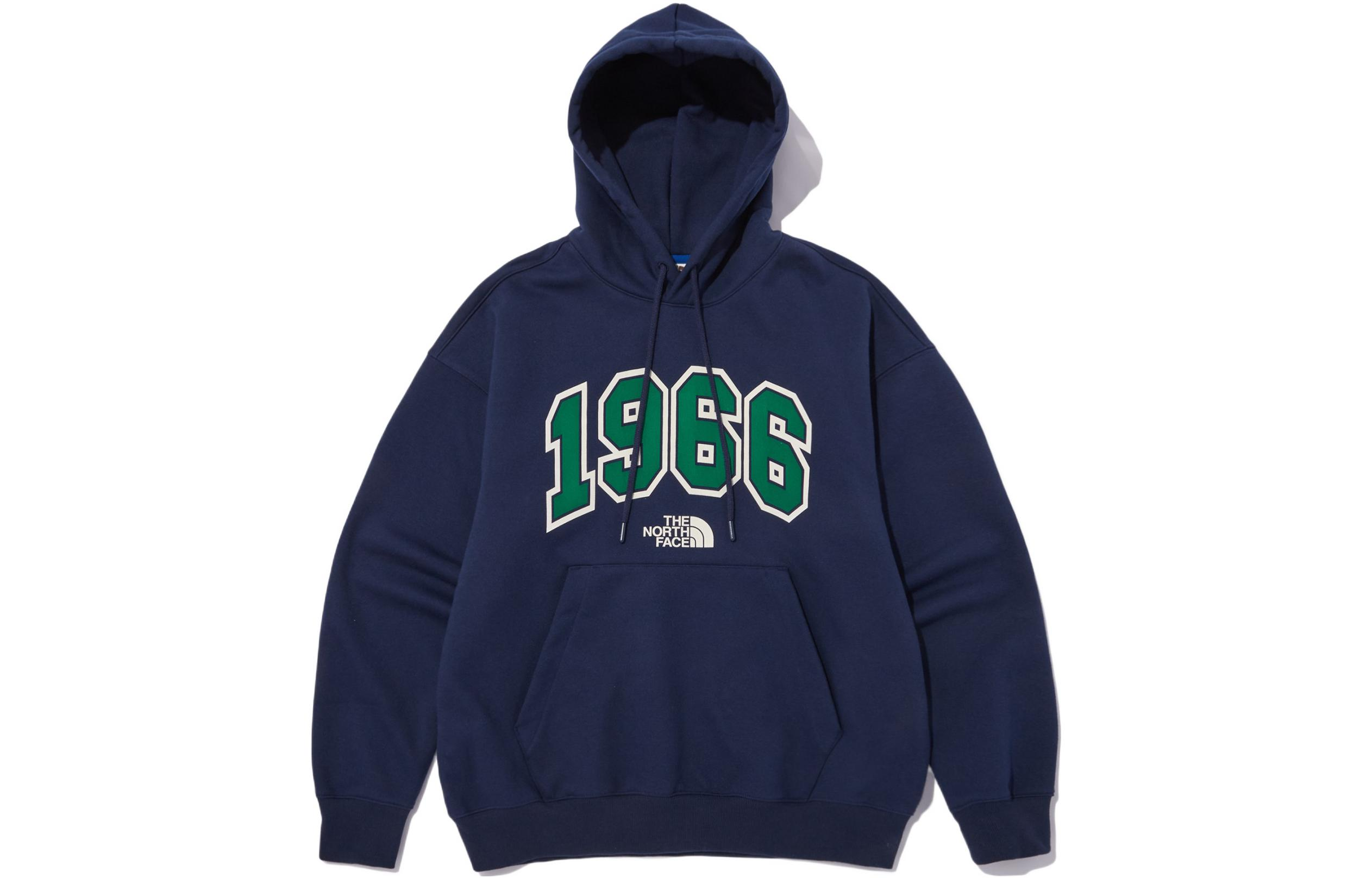 TNF Digital Logo Hoodie Blue NM5PN51L