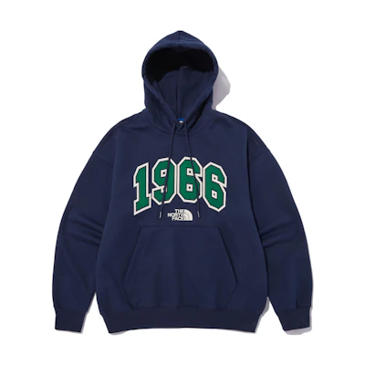 TNF Digital Logo Hoodie Blue NM5PN51L
