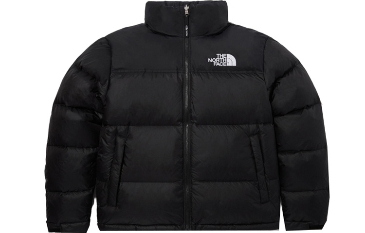 TNF EcoNuptse 1996 Jacket Black FW23 Unisex Packable Down NJ1DP75A