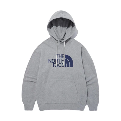 TNF Embroidered Vintage Loose Fit Hoodie Unisex - Gray NM5PP41B