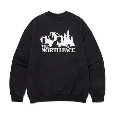TNF FW22 Logo Embroidered Crewneck Vintage Sweatshirt Unisex NM5MN53E