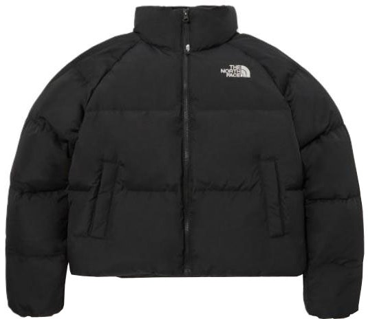 the-north-face-fw-23-lofty-v2-embroidered-down-jacket-black-unisex-short-coat-nj-1-dp-93-a