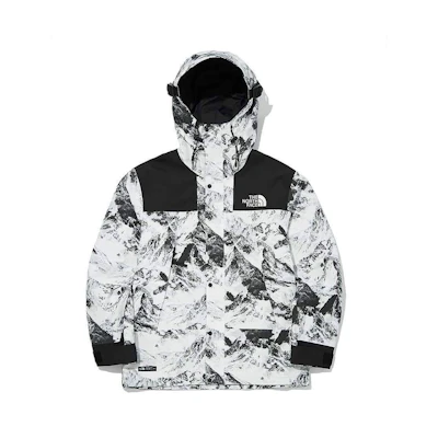 TNF GTX Snow Mountain Print Hooded Jacket Unisex White NJ2GL52A