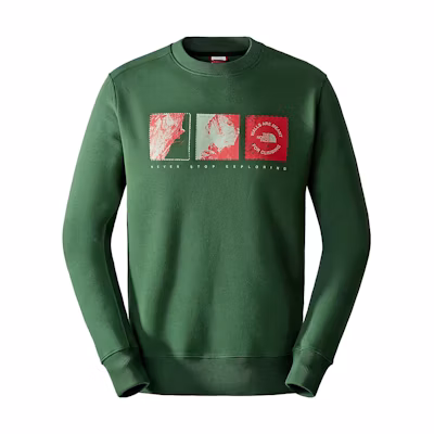 TNF Graphic Letter Print Crewneck Sweatshirt Green NF0A8523-I0P
