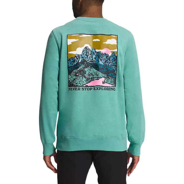 TNF Graphic Print Crewneck Sweatshirt Lake Green NF0A7UO6-880