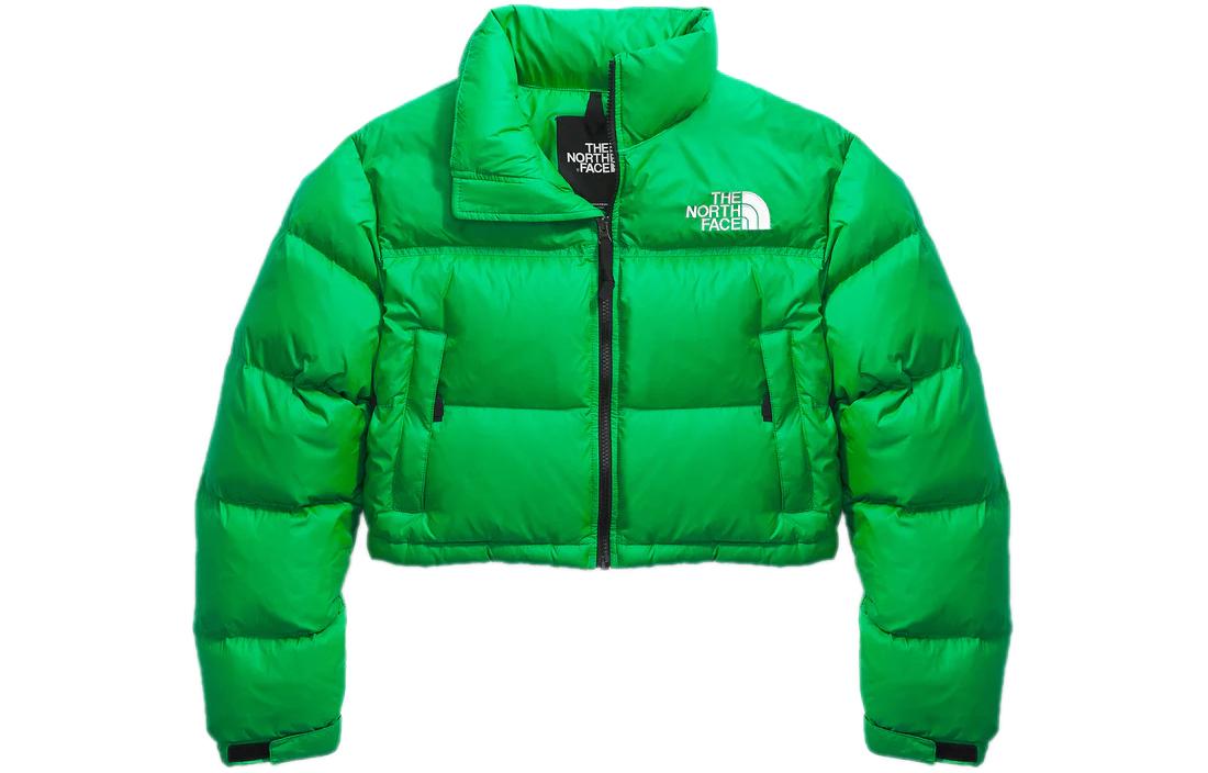 TNF Green Logo Print Short Puffer Jacket Unisex NF0A5GGEPO8 圖 2