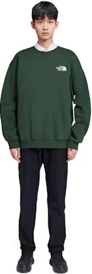 The North Face 綠色徽標印花圓領套頭衫 NM5MN90E Purchase The North Face 綠色徽標印花圓領套頭衫 NM5MN90E