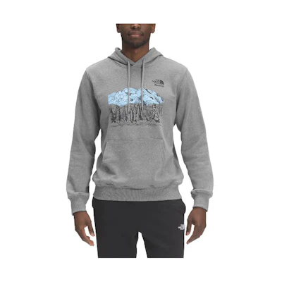 TNF Grey Logo Print Hoodie NF0A7UYQ-HLI