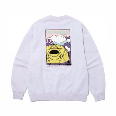 TNF Grey Pullover Sweatshirt with Scenic Back Print NM5MP01C