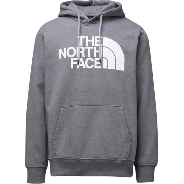 TNF Half Dome Logo Pullover Hoodie Gray NF0A7UNL-030