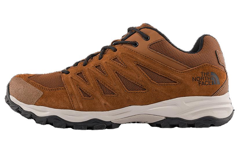 The North Face Truckee Hiking Shoes 'Brown'