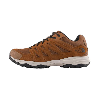 The North Face Truckee Hiking Shoes 'Brown'