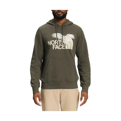 TNF Hoodie Pullover Logo Print in New Gray-Green NF0A8115-21L