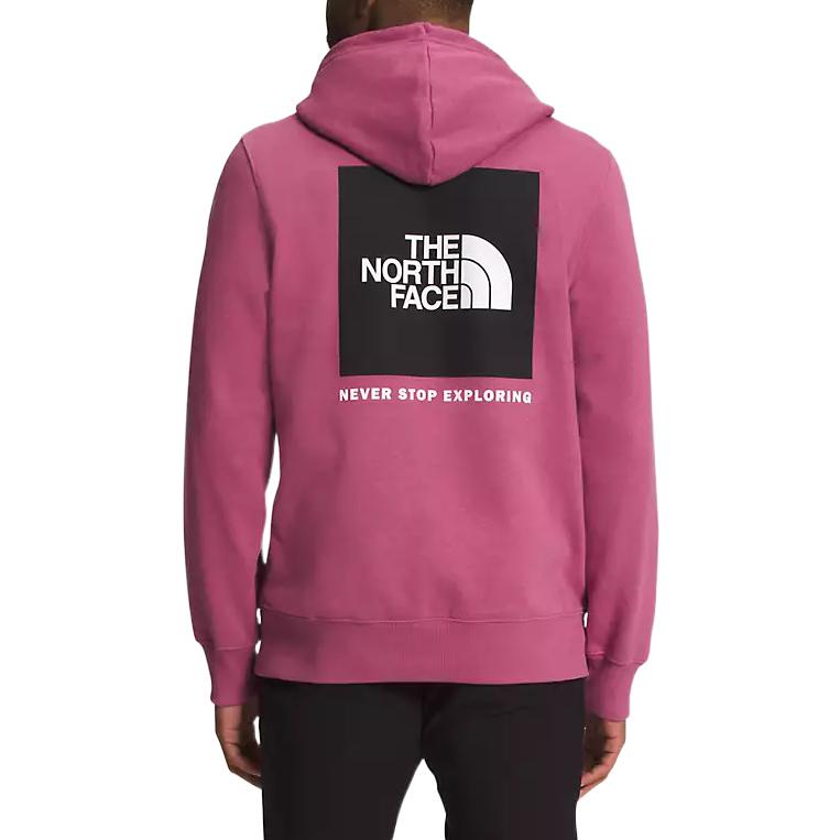 TNF Hoodie with Back Logo Graphic Print NF0A7UNS-83A