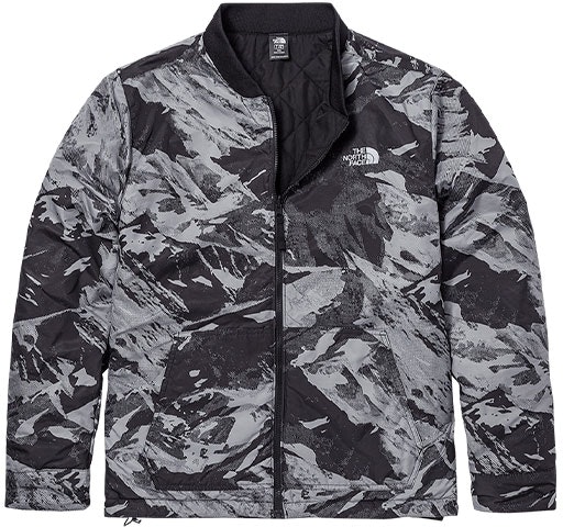 the-north-face-jester-jacket-asia-size