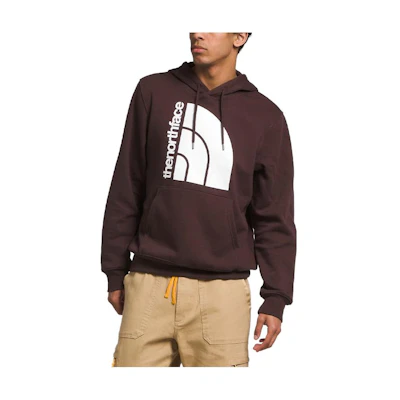 TNF Jumbo Half Dome Logo Brown Hoodie Pullover NF0A811M-LOT