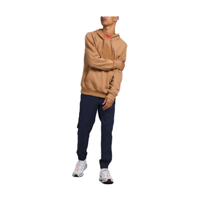 TNF Jumbo Half Dome Logo Hoodie Almond Pullover NF0A811M-OL6
