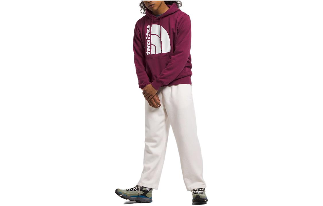 TNF Jumbo Half Dome Logo Hoodie Purple Pink NF0A811M-LKO