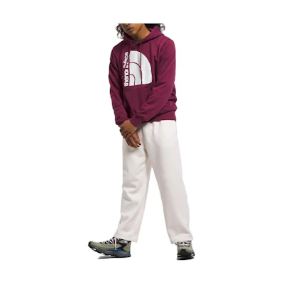 TNF Jumbo Half Dome Logo Hoodie Purple Pink NF0A811M-LKO