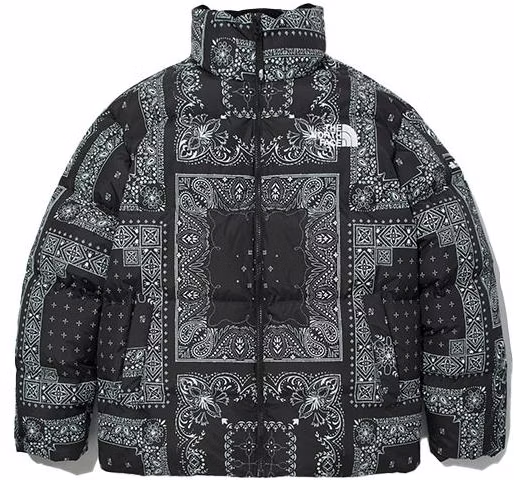 the-north-face-lofty-paisley-down-jacket-black-unisex-winter-collection-nj-1-dm-76-a