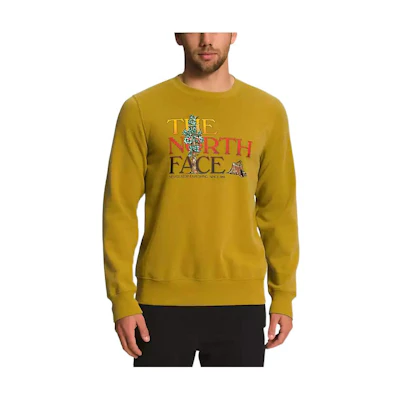 TNF Logo Crewneck Pullover Sweatshirt Brown Long Sleeve NF0A7UO6-81G