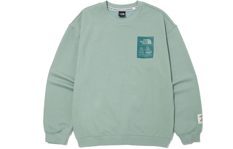 TNF Logo Crewneck Sweatshirt Green - NM5MM61B