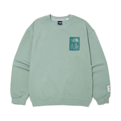 TNF Logo Crewneck Sweatshirt Green - NM5MM61B
