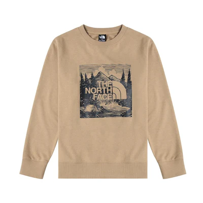 TNF Logo Crewneck Sweatshirt Khaki Color Long Sleeve NF0A81NM-PLX