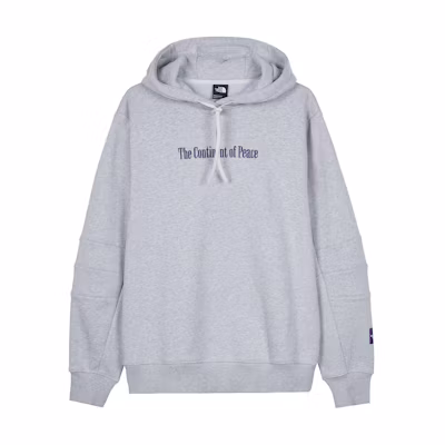 TNF Logo Embroidery Hoodie Gray Pullover Long Sleeve Sweatshirt NM5PM57A