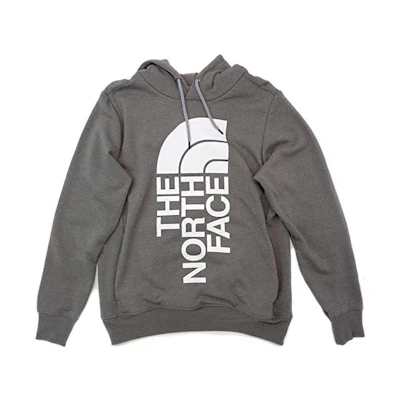 TNF Logo Graphic Hoodie in Gray NF0A4M4H-BH7