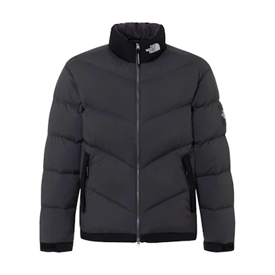 TNF Logo Print Down Jacket for Men in Gray with Stand Collar. NJ1DQ63K