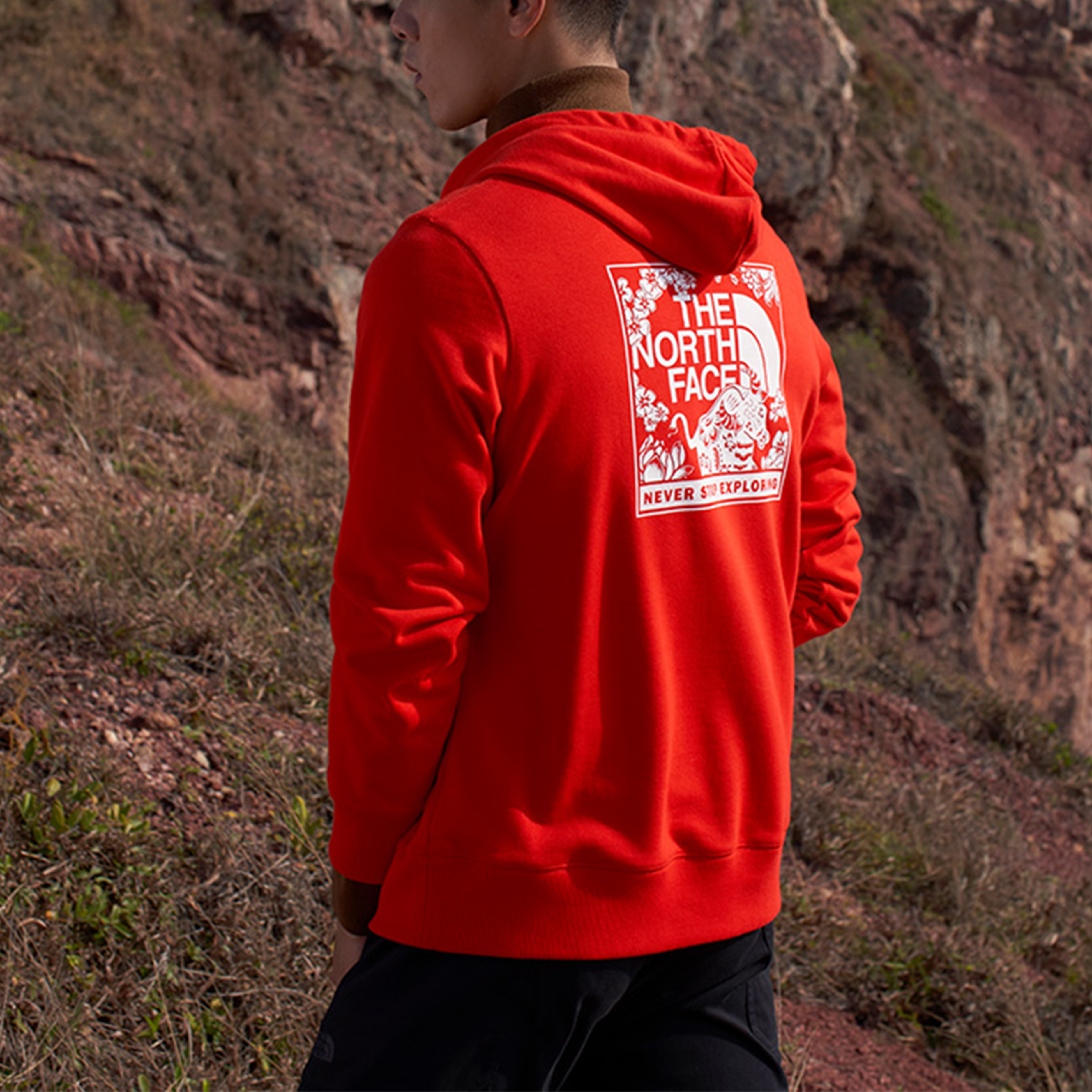 TNF Logo Print Limited Edition Hooded Sweatshirt Red Unisex NF0A4UDK-15Q 圖 4