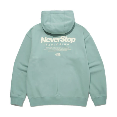 TNF Logo Print Loose Fit Hoodie Men’s - Lake Green NM5PM51C