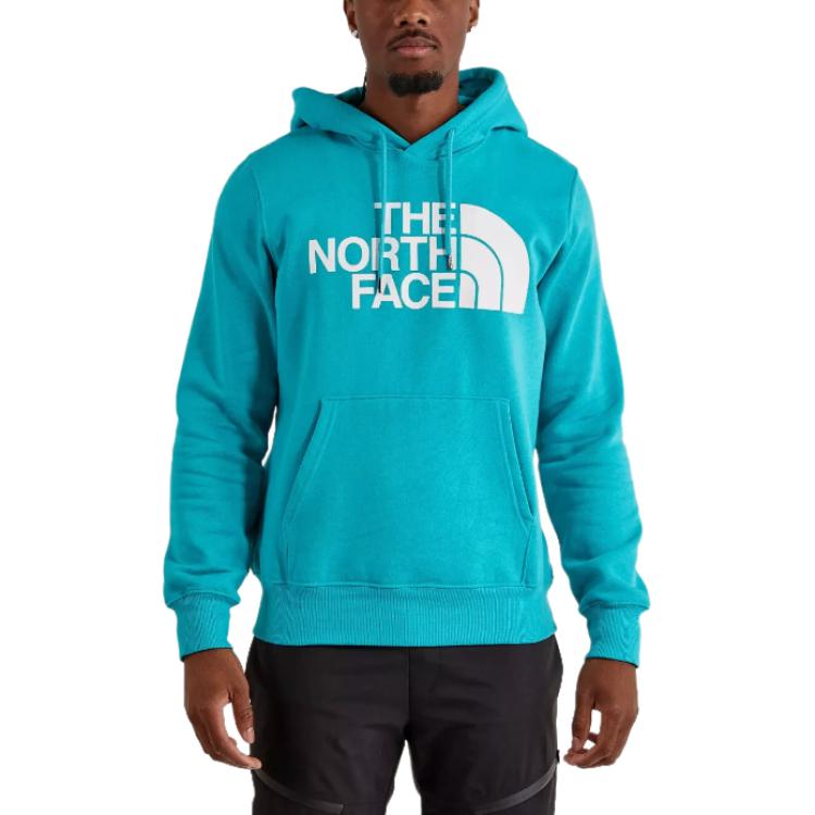 TNF Logo Print Pullover Hoodie Blue NF0A7UNL-LI1