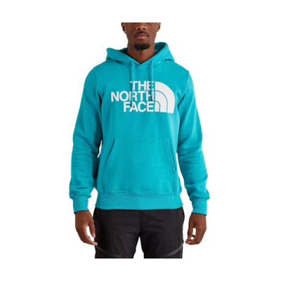TNF Logo Print Pullover Hoodie Blue NF0A7UNL-LI1