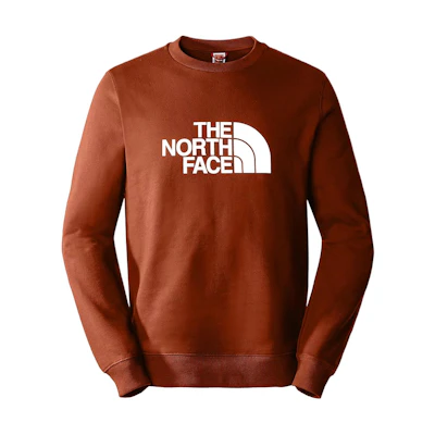 TNF Logo Printed Crewneck Sweatshirt Bronze NF0ACSV2-LV4