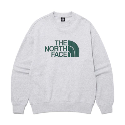 TNF Logo Printed Crewneck Sweatshirt Gray Long Sleeve Casualwear NM5MP41B