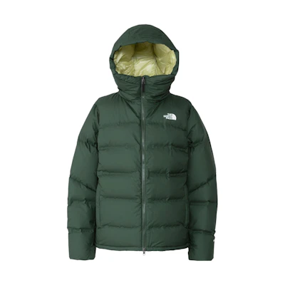 TNF Logo Printed Hooded Zip Puffer Jacket Unisex ND92215R-PW