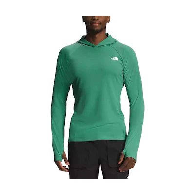 TNF Logo Pullover Hoodie Green NF0A53BS-NYC