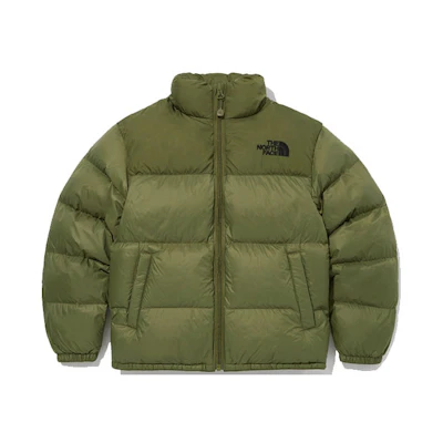 TNF Logo Zip-Up Stand Collar Jacket Green Unisex NJ3NM73T