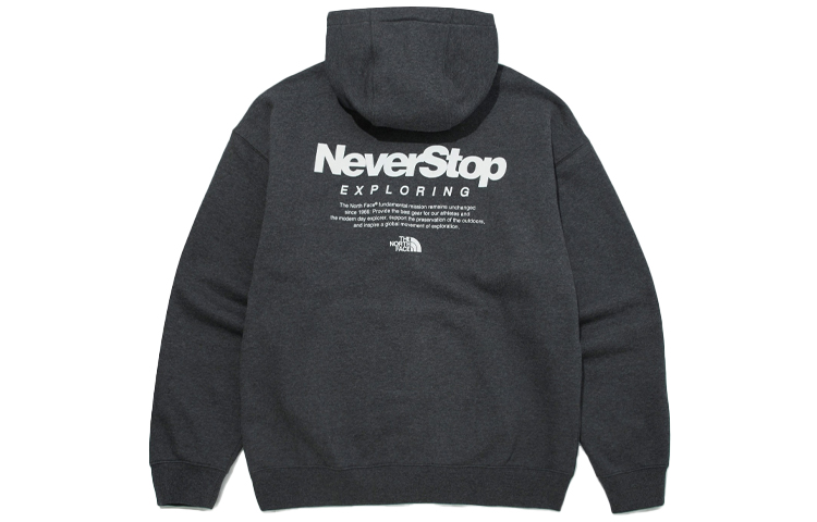 TNF Loose Fit Logo Print Hoodie - Dark Gray NM5PM51A