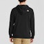 Purchase The North Face MFO Hoodie 'Black' (Asia Size)